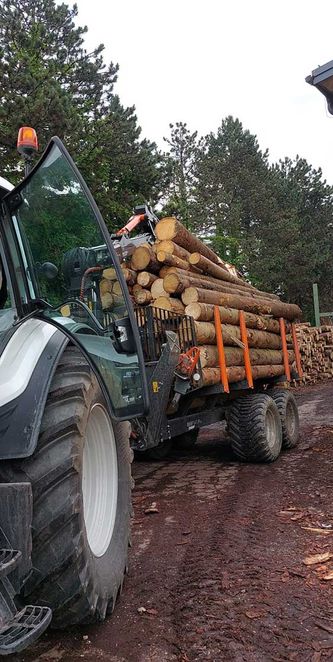 forstwirtschaft-holzschlaegerung-content-img-