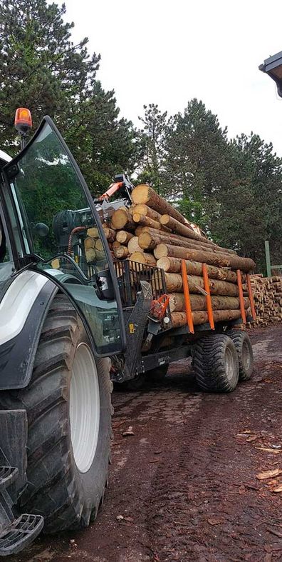 Erdbewegung Vallant - Erd- und Forstarbeiten, Winterdienst und Transporte 