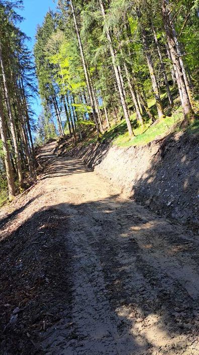 Erdbewegung Vallant - Erd- und Forstarbeiten, Winterdienst und Transporte 