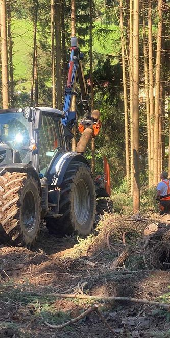 forstwirtschaft-holzschlaegerung-content-img-